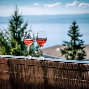 Appartement Le 7eme Ciel - 3 Etoiles, Thonon-les-Bains